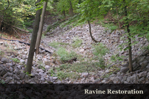 ravine